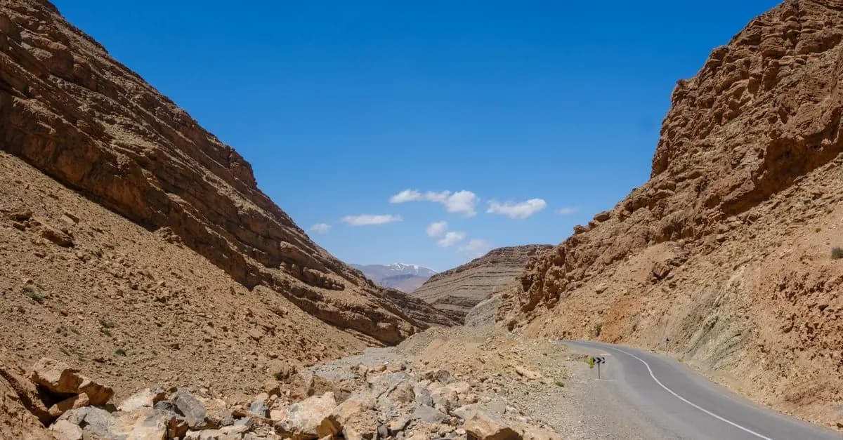 Cómo organizar un viaje por carretera perfecto: consejos clave