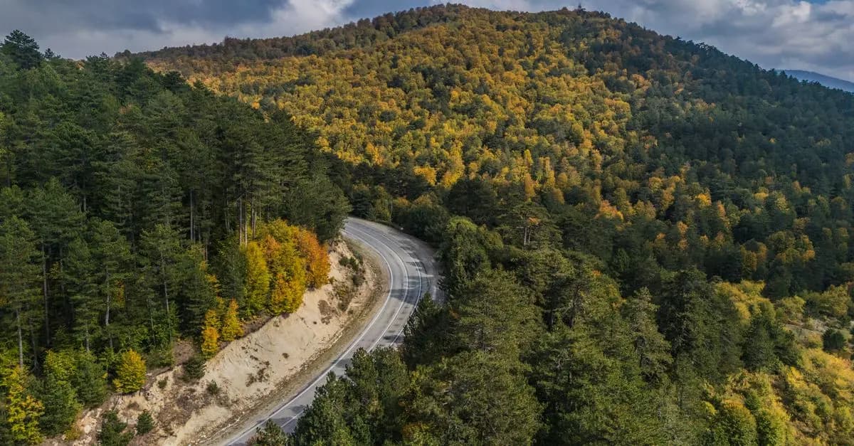 Cómo organizar un viaje por carretera épico