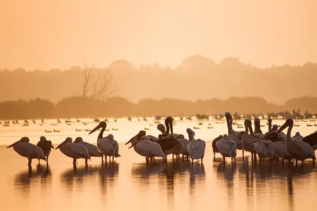 10 consejos para maximizar tu experiencia de ecoturismo