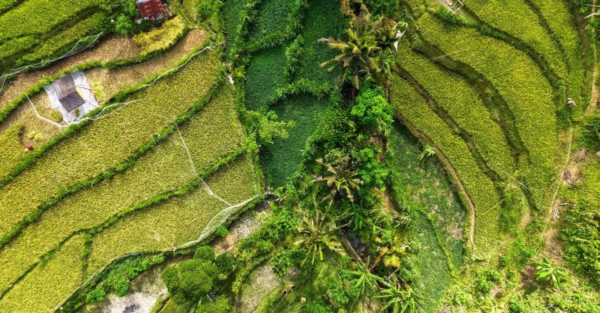 Tendencias de viajes sostenibles que debes conocer