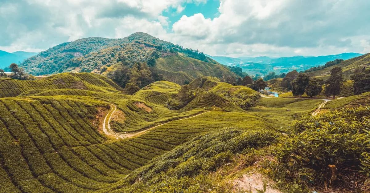 10 consejos para viajar de forma sostenible y consciente