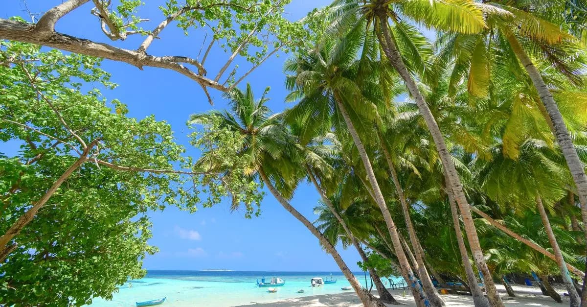 Cómo elegir el destino perfecto para tus vacaciones
