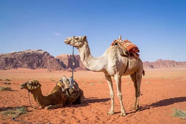 Cómo elegir el mejor destino para tus vacaciones