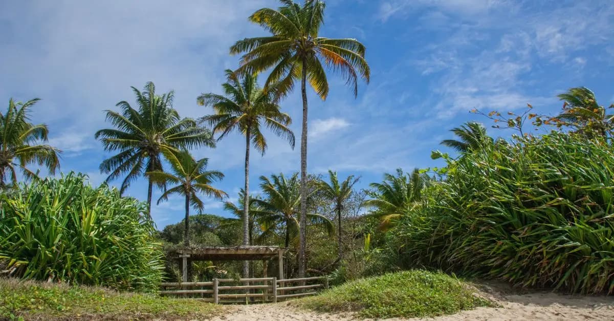 Cómo elegir el destino perfecto para tus próximas vacaciones