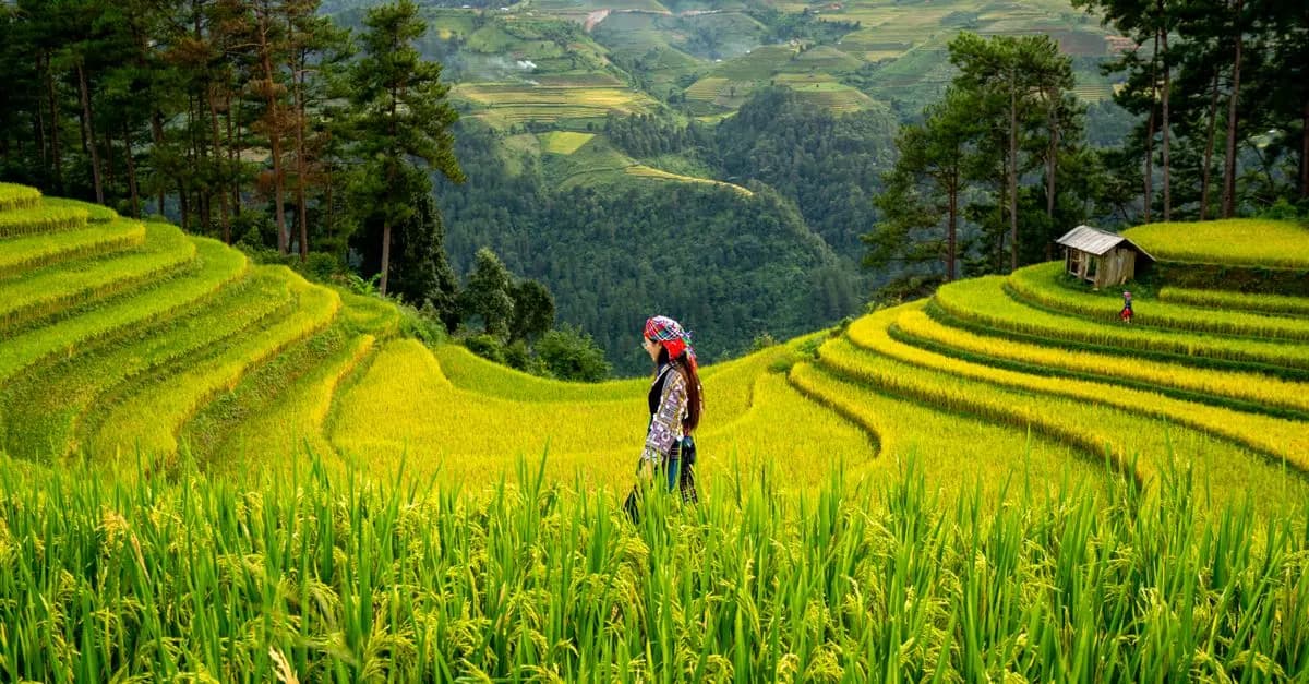 5 consejos imprescindibles para viajar de forma sostenible