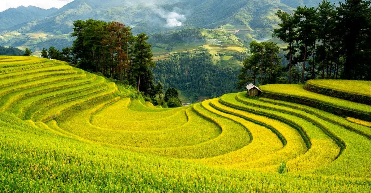 Los mejores consejos para viajar de manera sostenible
