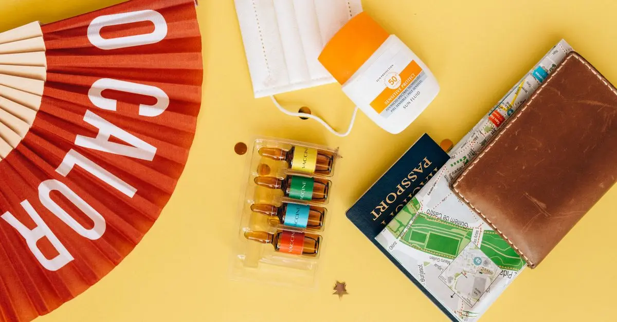 Los mejores consejos para viajar con mascotas