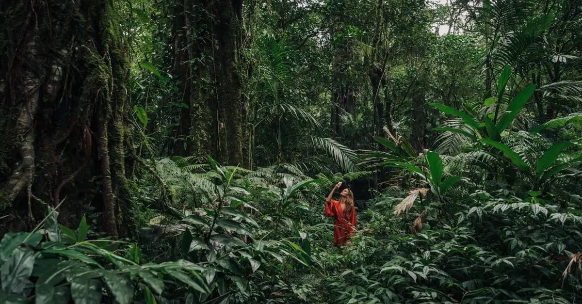 Cómo maximizar tu experiencia de viaje con el ecoturismo