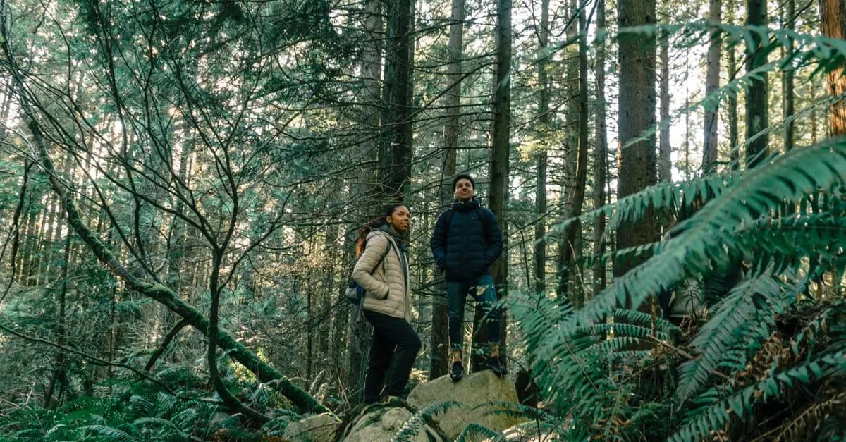 Cómo incorporar el ecoturismo en tus vacaciones