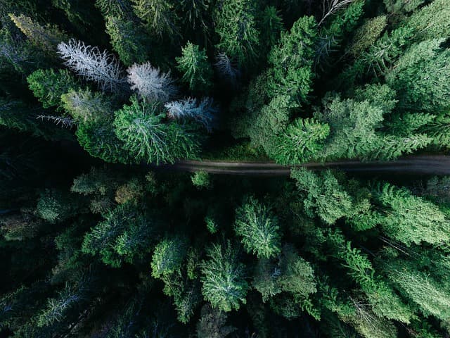 10 consejos para disfrutar de un viaje responsable y sostenible