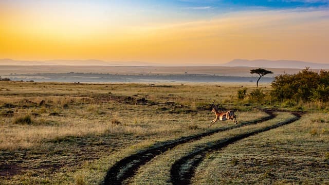 Los mejores destinos de ecoturismo para descubrir en 2026